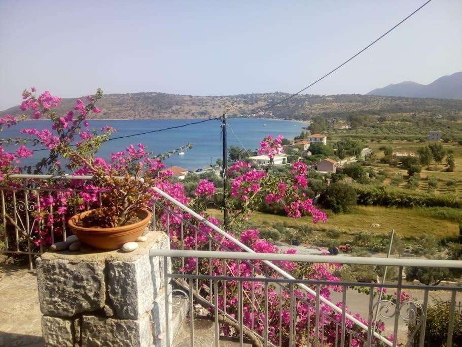 Ageranos Kamares View 아파트 외부 사진