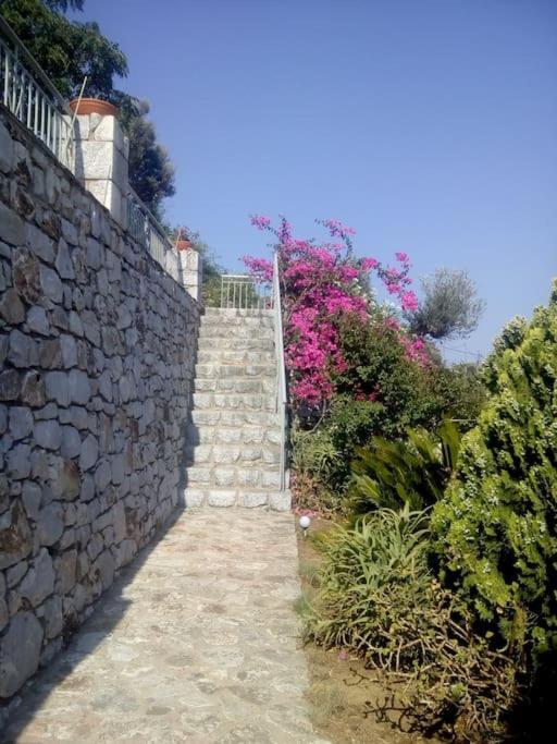 Ageranos Kamares View 아파트 외부 사진
