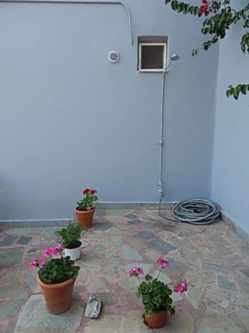 Ageranos Kamares View 아파트 외부 사진
